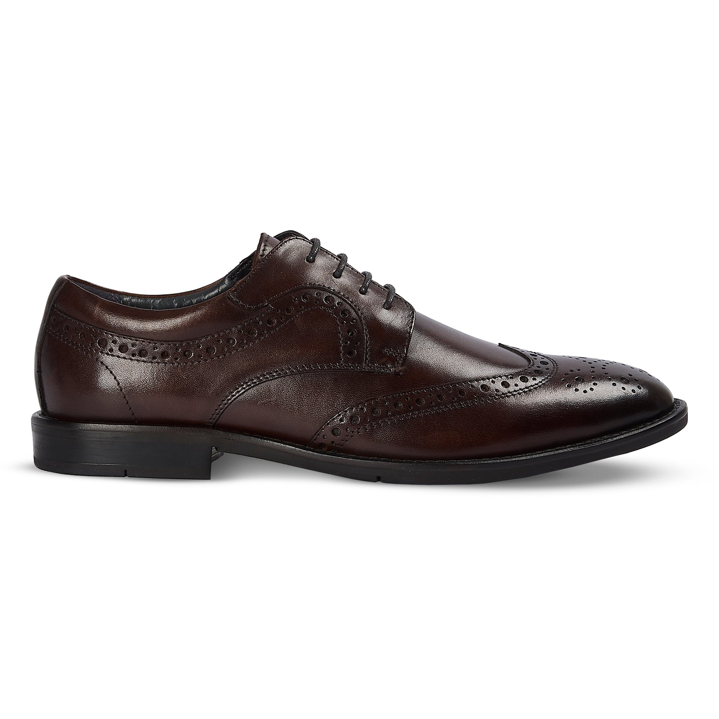 Cambridge - Brown Leather Brogue Shoe